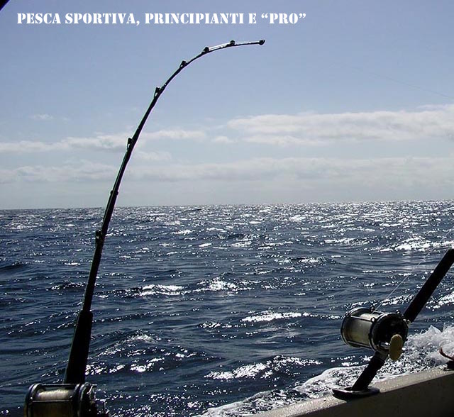 Pesca Pro