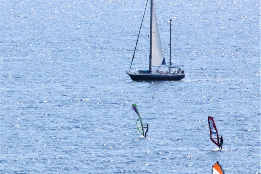 windsurf-race-elba
