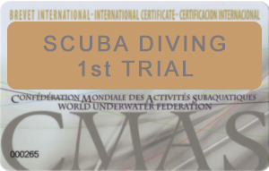 Battesimo Sub / Scuba Dive Trial